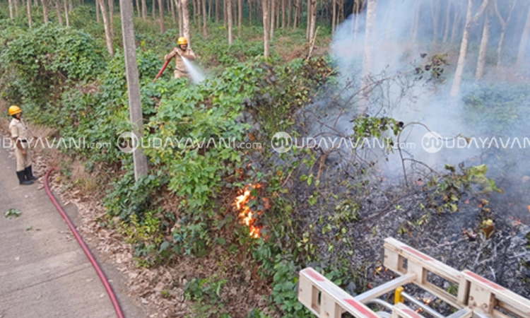 Bantwal: ಸರಪಾಡಿ; ರಬ್ಬರ್ ತೋಟಕ್ಕೆ ಬೆಂಕಿ