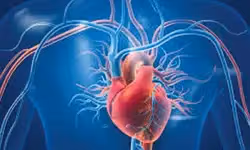 Cardiovascular disease: ಆರೋಗ್ಯಕರ ಜೀವನ ಶೈಲಿಯ ಜತೆ ಹೃದ್ರೋಗದಿಂದ ದೂರವಿರಿ