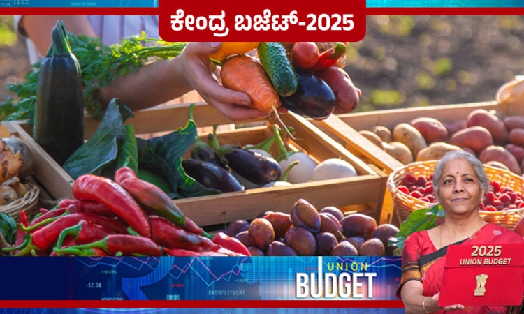 Union Budget 2025: ಹಣ್ಣು-ತರಕಾರಿ ಬೆಳೆಗೆ ಬೆಂಬಲ, ಧನ್ ಧಾನ್ಯ ಕೃಷಿ ಯೋಜನೆ ಘೋಷಣೆ