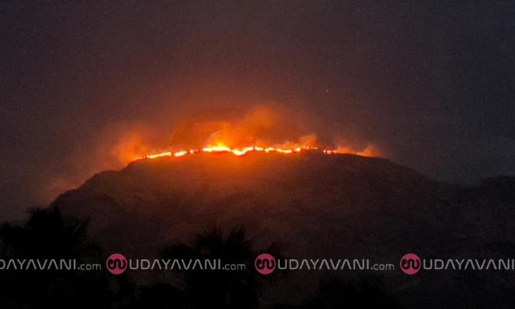 Belthangady: ದಿಡುಪೆ, ನೇತ್ರಾವತಿ ಪೀಕ್‌, ಮಲವಂತಿಗೆಯಲ್ಲಿ ಕಾಡ್ಗಿಚ್ಚು