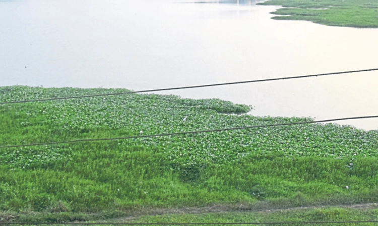 Surathkal: ಖಂಡಿಗೆಯಂತೆ ಬಗ್ಗುಂಡಿಗೂ ತ್ಯಾಜ್ಯ ನೀರಿನ ಸಮಸ್ಯೆ