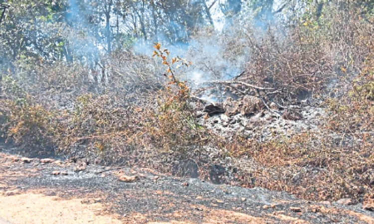 Kundapura: ಹೆಬ್ರಿಗೆ ಅಗ್ನಿ ಶಾಮಕ ಠಾಣೆ ಕಲ್ಪಿಸಬೇಕು