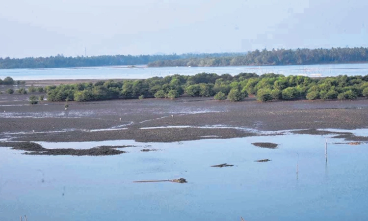 Kundapura: ಪಂಚಗಂಗಾವಳಿಯಲ್ಲಿ ಹೂಳಿನ ಲೀಲೆ!