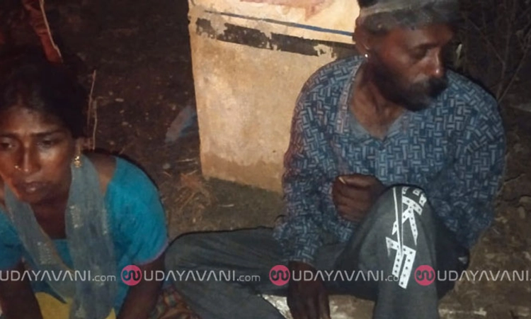Chikkamagaluru: ಮೀಸಲು ಅರಣ್ಯದಲ್ಲಿ ಗಂಧದ ಮರ ಕಡಿಯುತ್ತಿದ್ದ ದಂಪತಿ ಬಂಧನ