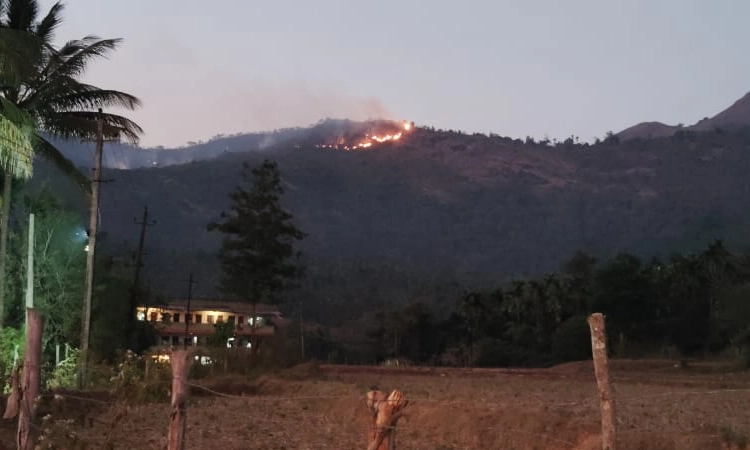 Chikkamagaluru: ಅರಣ್ಯ ಪ್ರದೇಶದಲ್ಲಿ ಮತ್ತೇ ಕಾಡ್ಗಿಚ್ಚು