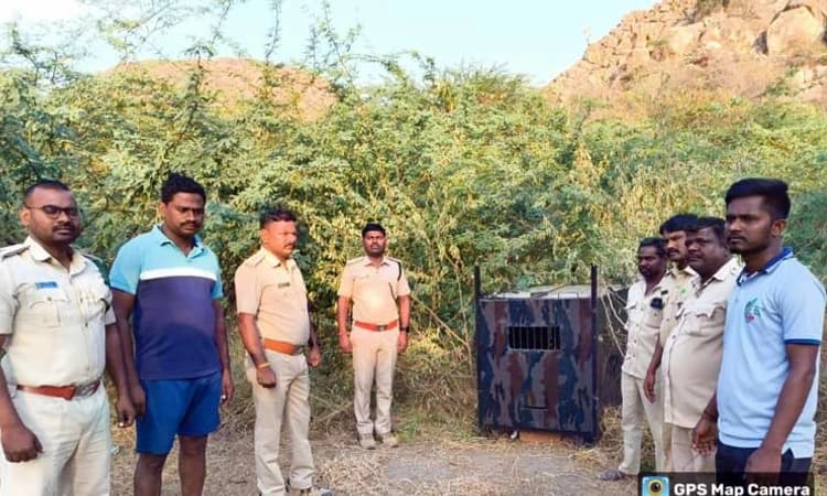 Raichur: ಜನರ ನಿದ್ದೆಗೆಡಿಸಿದ್ದ ಚಿರತೆ ಕೊನೆಗೂ ಸೆರೆ… ನಿಟ್ಟುಸಿರು ಬಿಟ್ಟ ಜನ