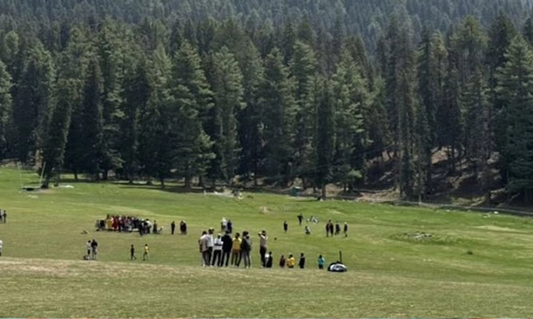 Pahalgam;ಸಂಪೂರ್ಣ ಸಿದ್ಧತೆಯೊಂದಿಗೆ ದಾಳಿ: ಐಎಸ್‌ಐ ಪಾತ್ರ? ರಾಣಾ ಗಡೀಪಾರಿಗೆ ಸೇಡು?