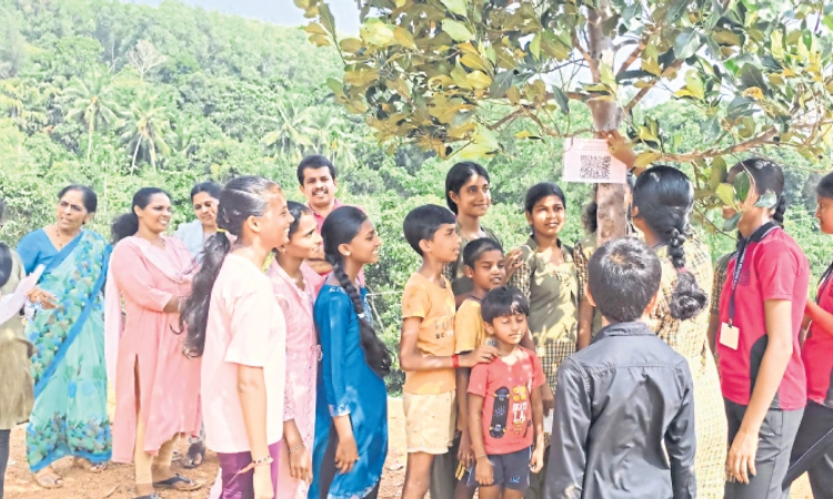 Bajpe: ಶಾಲಾವರಣದ ಗಿಡಗಳಿಗೆ ಕ್ಯೂಆರ್‌ ಕೋಡ್‌