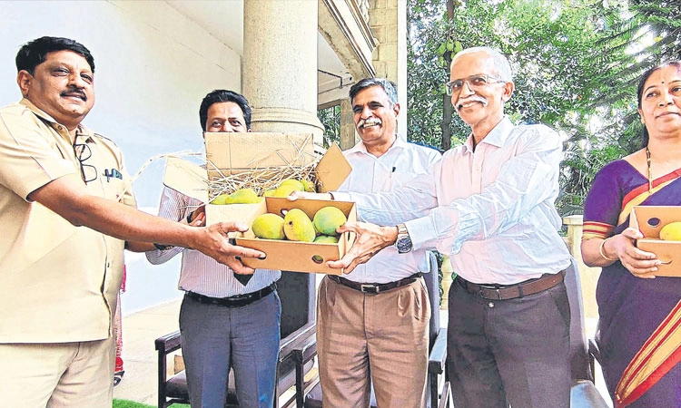 Post Office: ಮಾವಿನ ಹಣ್ಣು ಬೇಕಾ? ಅಂಚೆಯಲ್ಲಿ ತರಿಸಿಕೊಳ್ಳಿ
