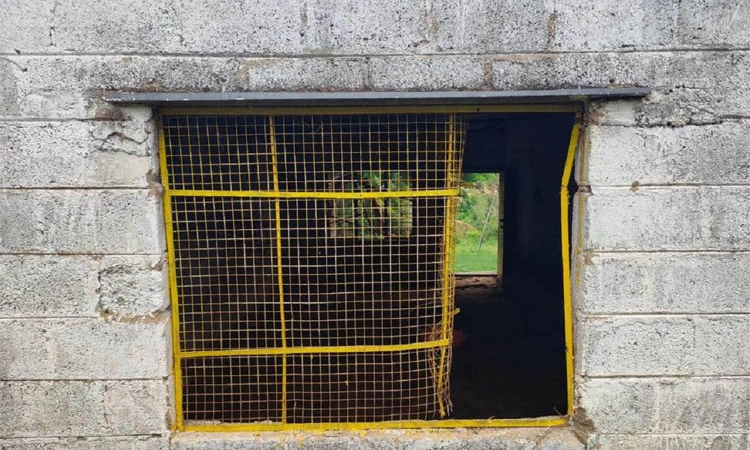 Hunsur: ಕುರಿ ಶೆಡ್‌ನಿಂದ 7 ಕುರಿ ಕಳ್ಳತನ; ರೈತರ ಆತಂಕ