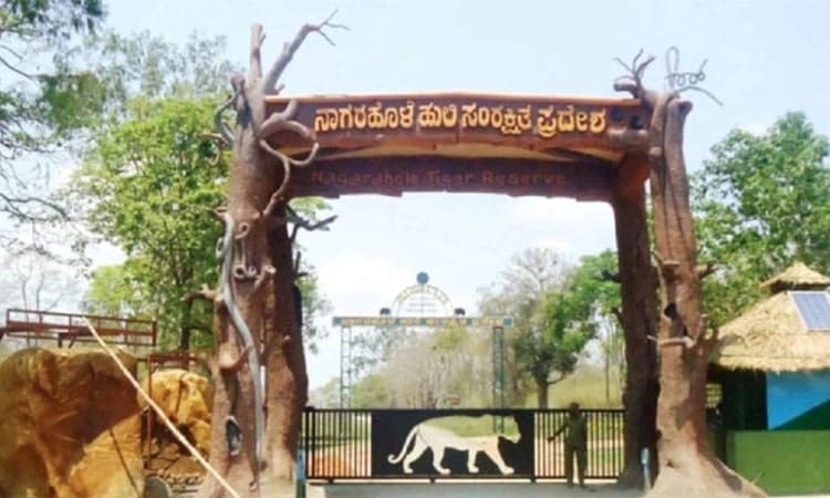 Hunsur: ನಾಗರಹೊಳೆ ಮೂರ್ಕಲ್ ರಸ್ತೆ ನಾಲ್ಕು ದಿನ ಬಂದ್