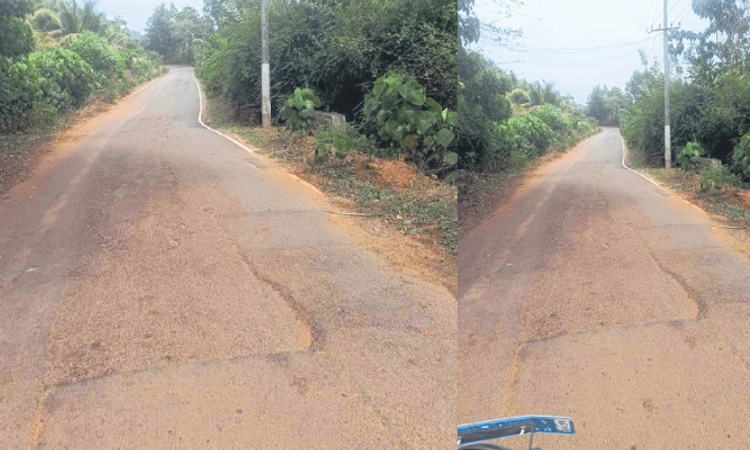 Vitla: ಪಡಿಬಾಗಿಲು-ಬೈರಿಕಟ್ಟೆ ರಸ್ತೆ ಮರುಡಾಮರೀಕರಣಕ್ಕೆ ಬೇಡಿಕೆ