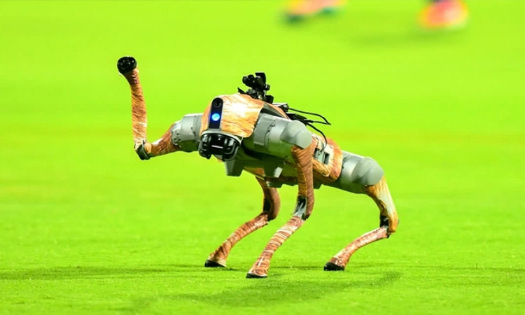 IPL 2025: ಹೊಸ ರೋಬೋಟ್‌ ನಾಯಿಗೆ ನಡೆಯಿತು ನಾಮಕರಣ; ಹೆಸರೇನು ಗೊತ್ತಾ?