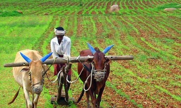 ಪಿಎಂ ಫ‌ಸಲ್‌ ವಿಮಾ ಯೋಜನೆ ಸಾಧನೆ