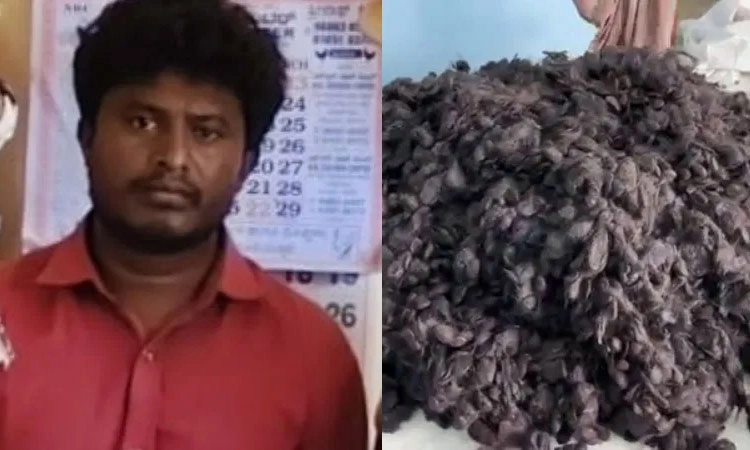 Peenya Dasarahalli: ಗೋದಾಮಿನಿಂದ 25 ಲಕ್ಷ ಮೌಲ್ಯದ ಕೂದಲು ಕಳ್ಳತನ!