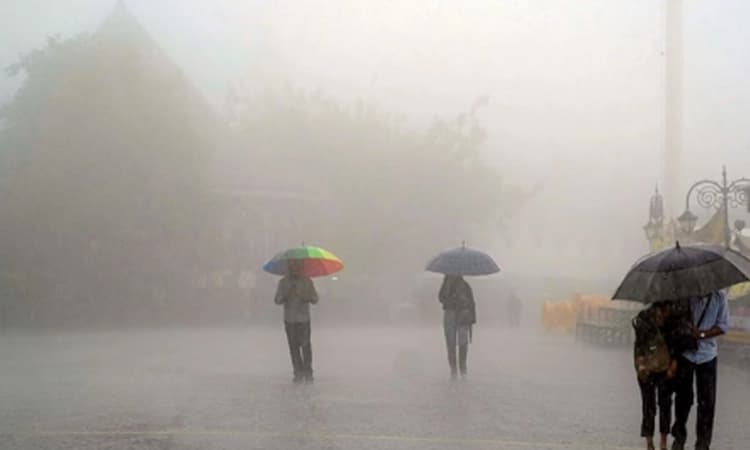 Bellary: ಗಡಿನಾಡು ಬಳ್ಳಾರಿಗೆ ತಂಪೆರೆದ ಮಳೆರಾಯ