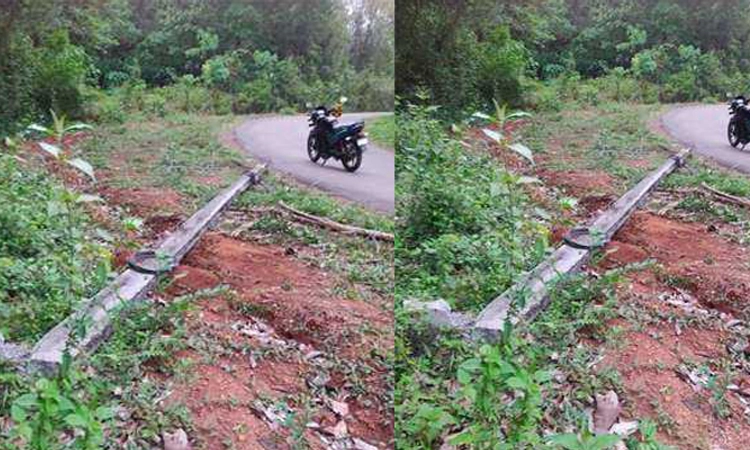 Sullia: ಕಾಡಾನೆ ಉಪಟಳ; 6 ವಿದ್ಯುತ್‌ ಕಂಬಗಳಿಗೆ ಹಾನಿ