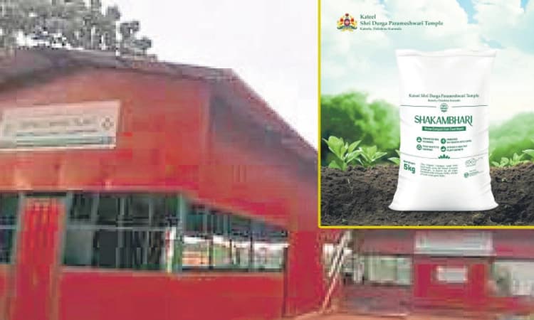 Mangaluru: ಕಟೀಲು ದೇಗುಲದ ತ್ಯಾಜ್ಯವೀಗ ಶಾಕಾಂಬರಿ ಗೊಬ್ಬರ!