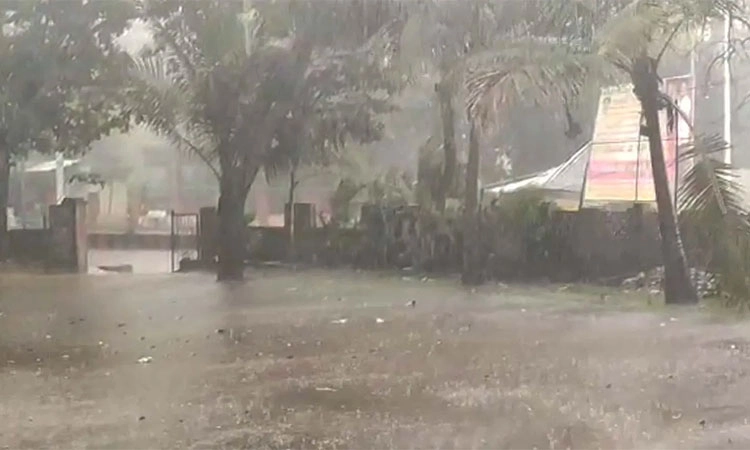 Yadagiri: ಗಾಳಿ- ಮಳೆ; ಬೃಹತ್ ಮರ ಬಿದ್ದು ವ್ಯಕ್ತಿ ಸಾವು