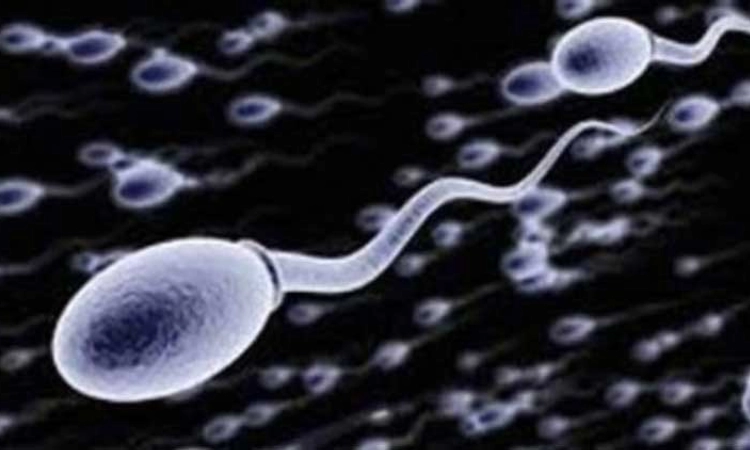 Sperm race: ಇದೇ ಮೊದಲ ಬಾರಿಗೆ ವೀರ್ಯಾಣುಗಳ ಓಟದ ಸ್ಪರ್ಧೆ ಆಯೋಜನೆ
