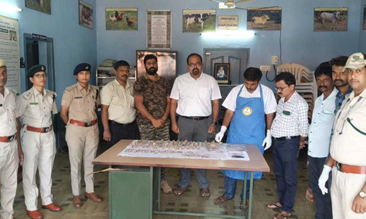 Belthangady: ಸವಣಾಲು ಚಿರತೆ ಮೂಳೆ ಪತ್ತೆ ಪ್ರಕರಣ ತನಿಖೆ ಪ್ರಗತಿಯಲ್ಲಿ