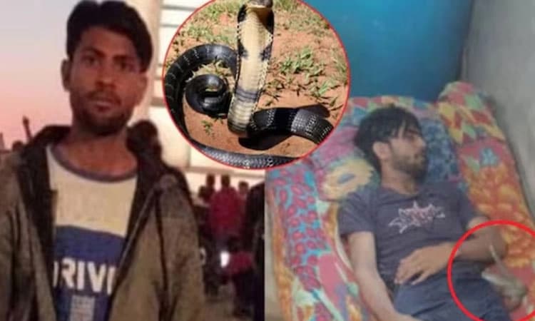 10 ಬಾರಿ ಕಚ್ಚಿದರೂ ಮುಂಜಾನೆವರೆಗೂ ವ್ಯಕ್ತಿಯ ಮೃ*ತದೇಹ ಬಳಿಯೇ ಕಾದು ಕುಳಿತ ನಾಗರ ಹಾವು!