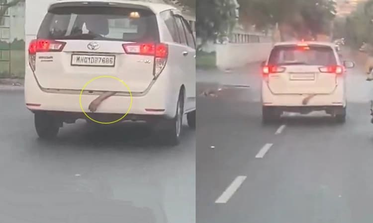 Thane: ಕಾರಿನ ಡಿಕ್ಕಿಯಿಂದ ನೇತಾಡುತ್ತಿದ್ದ ವ್ಯಕ್ತಿಯ ಕೈ; ವಿಡಿಯೋ ವೈರಲ್