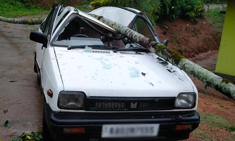 Madikeri: ಭಾರೀ ಗಾಳಿ ಮಳೆ: ಹಸು ಸಾವು; ಕಾರು ಜಖಂ; ಅಂಗಡಿಗಳಿಗೆ ನುಗ್ಗಿದ ನೀರು