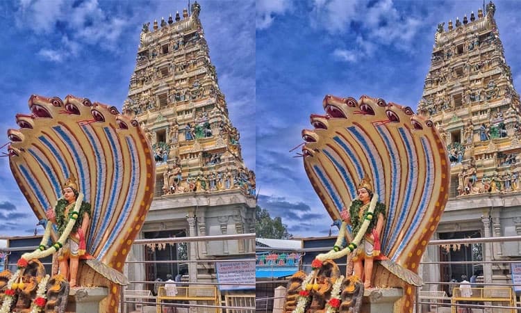 E-Prasad Service: ಘಾಟಿ ಸುಬ್ರಹ್ಮಣ್ಯಸ್ವಾಮಿ ಪ್ರಸಾದ ಮನೆ ಬಾಗಿಲಿಗೆ