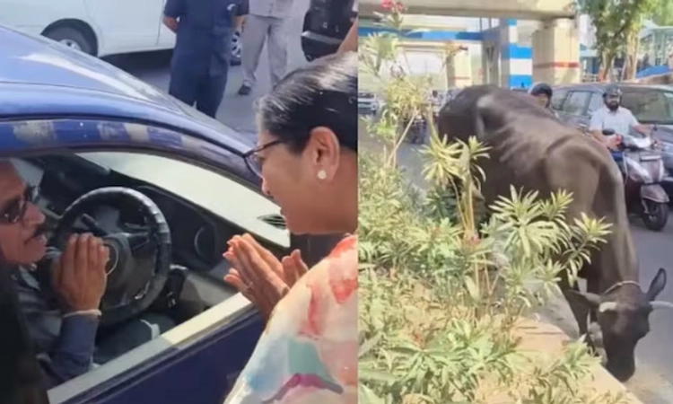 Delhi: ಹಸುವಿಗೆ ರೊಟ್ಟಿ ನೀಡುತ್ತಿದ್ದವನನ್ನು ನೋಡಿ ದೆಹಲಿ ಸಿಎಂ ಮಾಡಿದ ಕೆಲಸ ನೋಡಿ| Video