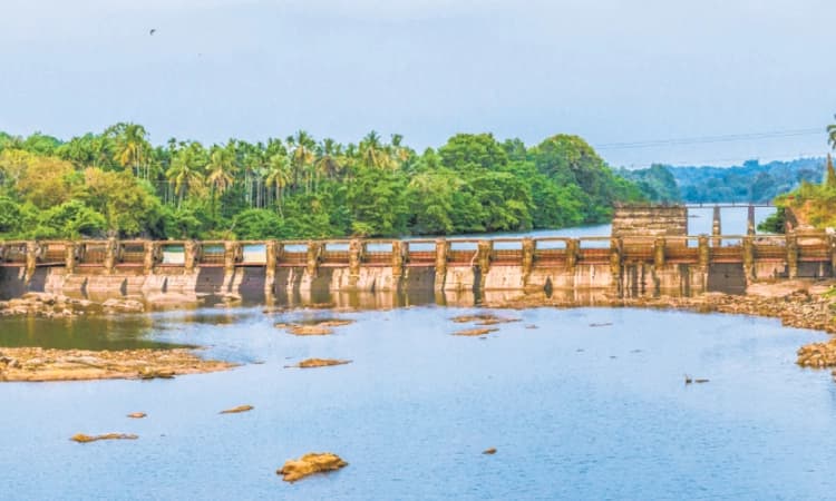 Udupi: ಬಜೆ ಡ್ಯಾಂನಲ್ಲಿ ಯಥೇಚ್ಛ ನೀರು: ಉಡುಪಿಗೆ ಸಮಸ್ಯೆ ಇಲ್ಲ