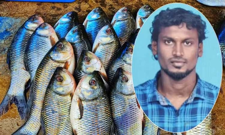 Tragedy: ಬೇಟೆಯಾಡಲು ಹೋದ ಮೀನಿನಿಂದಲೇ ಜೀವ ಕಳೆದುಕೊಂಡ ಯುವಕ