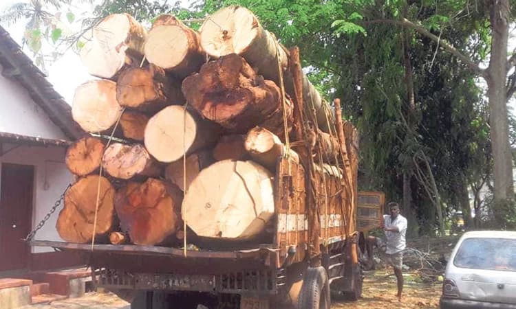 Uppinangady: ದಿಮ್ಮಿ ಅಕ್ರಮ ಸಾಗಾಟ ಪತ್ತೆ; ಪ್ರಕರಣ ದಾಖಲು