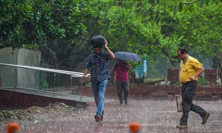 Rain Alert: ಕರಾವಳಿ ಸೇರಿ ರಾಜ್ಯದ 11 ಜಿಲ್ಲೆಗಳಲ್ಲಿ ನಾಳೆ (ಎ.7) ಮಳೆ ಸಾಧ್ಯತೆ