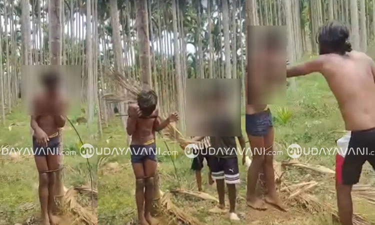 Davanagere: ಬಾಲಕನ ಅರೆಬೆತ್ತ*ಲೆಯಾಗಿಸಿ ಮರಕ್ಕೆ ಕಟ್ಟಿ, ಕೆಂಪಿರುವೆ ಬಿಟ್ಟು ಚಿತ್ರಹಿಂ*ಸೆ!