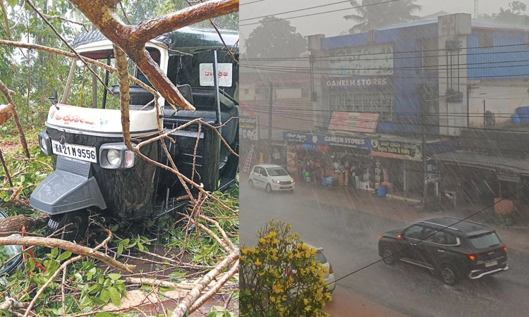 Rain: ದಕ್ಷಿಣ ಕನ್ನಡ, ಉಡುಪಿ ಜಿಲ್ಲೆಯಾದ್ಯಂತ ಗುಡುಗು ಸಹಿತ ಉತ್ತಮ ಮಳೆ