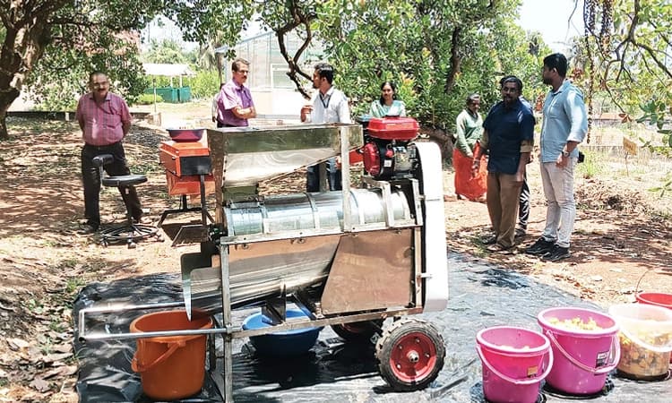 Puttur: ಗೇರು ಹಣ್ಣಿನಿಂದ ಬೀಜ ಬಿಡಿಸುವ ಯಂತ್ರ ಸಿದ್ಧ