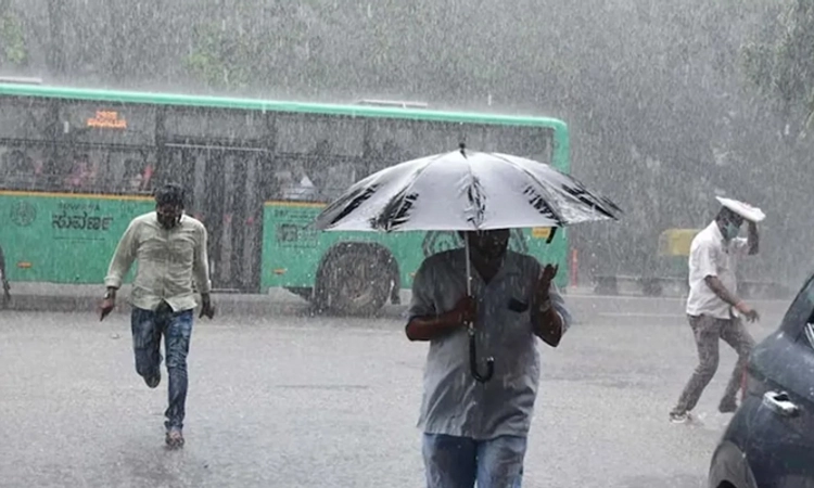 Bengaluru: ರಾಜಧಾನಿಯ ಪ್ರವಾಹ ತಗ್ಗಿಸಲು ಪಾಲಿಕೆ ಪ್ಲ್ರಾನ್‌