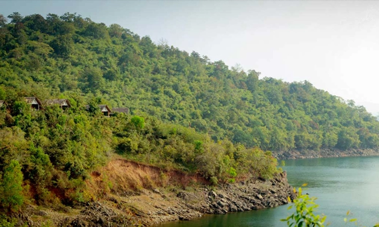 Bhadra Sanctuary: ಸಾಫ್ಟ್ ರಿಲೀಸ್ ಕೇಂದ್ರಕ್ಕೆ ಜಾಗ ಅಂತಿಮಗೊಳಿಸಲು ತಜ್ಞರ ತಂಡ ಭೇಟಿ