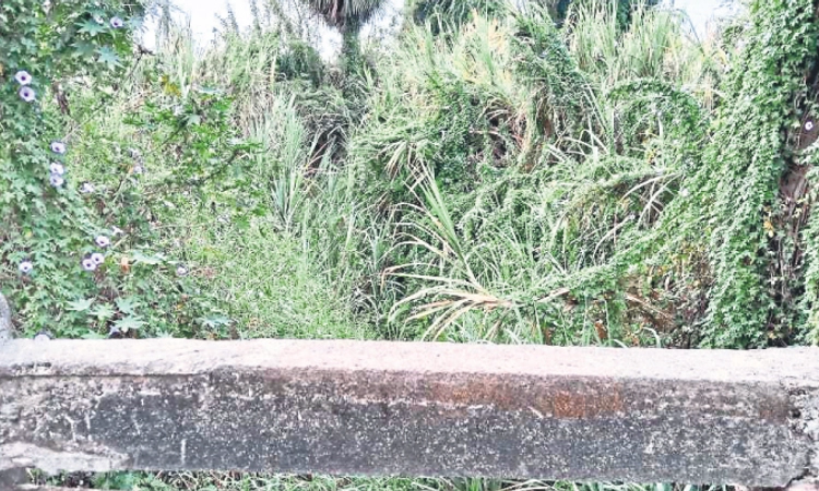 Malpe: ಕಡೆಕಾರು-ಕನ್ನರ್ಪಾಡಿ; ನೆರೆಯಿಂದ ಕಾಪಾಡಿ