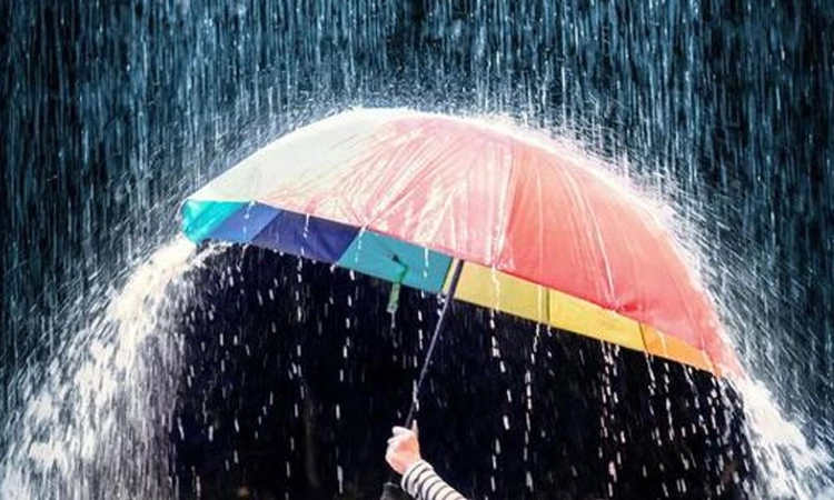 Rain: ಉಡುಪಿ, ದಕ್ಷಿಣ ಕನ್ನಡ ಸೇರಿ 12 ಜಿಲ್ಲೆಗಳಿಗೆ ಇಂದು ಹಳದಿ ಅಲರ್ಟ್‌