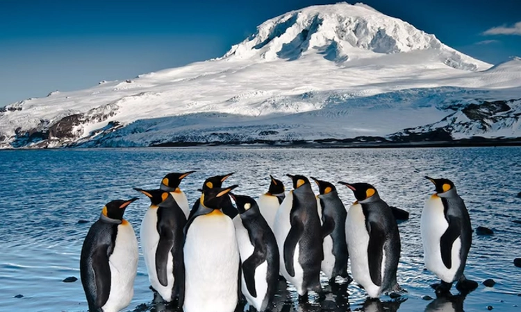 Heard and McDonald Islands: ಜನರೇ ಇಲ್ಲದ ದ್ವೀಪಕ್ಕೆ 10% ಸುಂಕ ವಿಧಿಸಿದ ಟ್ರಂಪ್‌!