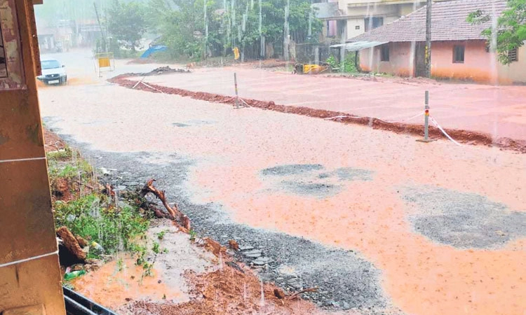 Rain: ಕರಾವಳಿಯಲ್ಲಿ ಉತ್ತಮ ಮಳೆ; ರಾಷ್ಟ್ರೀ ಯ ಹೆದ್ದಾರಿ ಕೆಸರುಮಯ