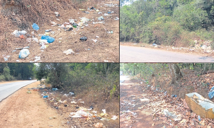 Kundapura: ಕಂಡ್ಲೂರು – ಸಿದ್ದಾಪುರ ಹೆದ್ದಾರಿಯುದ್ದಕ್ಕೂ ಕಸದ ರಾಶಿ