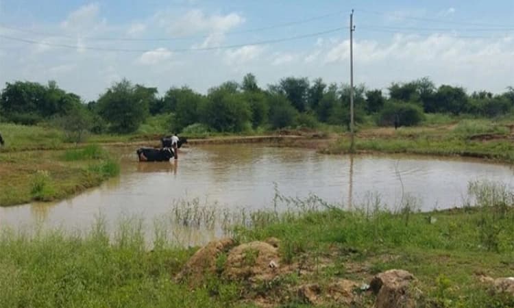 ಆಯ್ದ ಗ್ರಾಮಗಳ 500 ಕೆರೆಗಳ ಬಳಿ ಧ್ವಜಾರೋಹಣ
