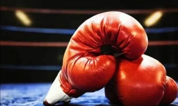 ಕಾಮನ್ವೆಲ್ತ್ ಬಾಕ್ಸಿಂಗ್‌: ಪದಕ ಖಾತ್ರಿಗೊಳಿಸಿದ ಹುಸ್ಸಮುದ್ದೀನ್‌, ನೀತು