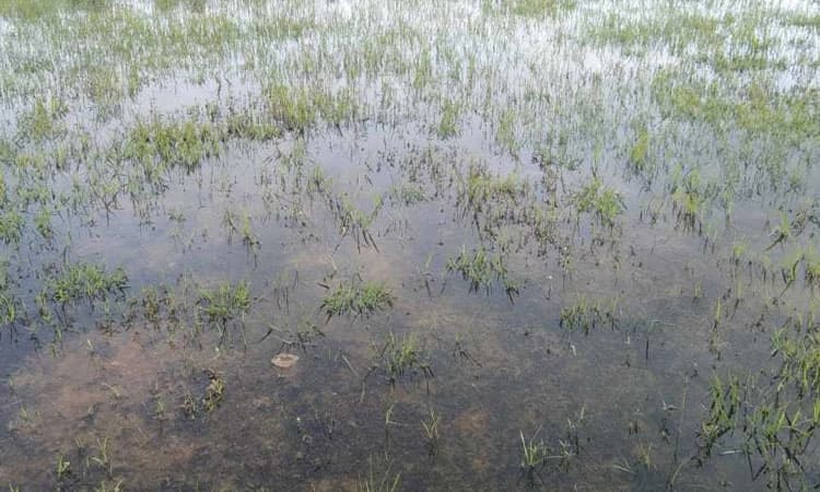 ಕೆರೆಯಂತಾದ ಕ್ರೀಡಾಂಗಣ: ಆಕ್ರೋಶ