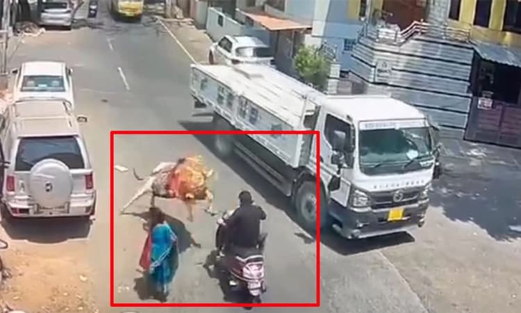 Viral video ನೋಡಿ; ಏಕಾಏಕಿ ಹಾರಿದ ಕೋಲೆ ಬಸವ: ಸ್ಕೂಟರ್ ಸವಾರ ಪಾರು