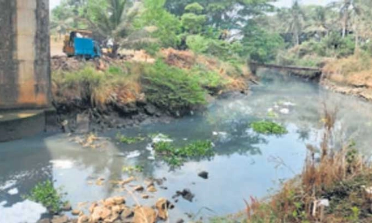 Mangaluru: ನೇತ್ರಾವತಿ-ಫಲ್ಗುಣಿ ನದಿಯೊಡಲಿಗೆ ಸೇರುತ್ತಿದೆ ಕೊಳಚೆ ನೀರು!