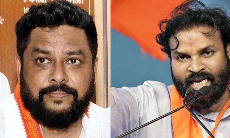 Bellary: ಸಚಿವ ನಾಗೇಂದ್ರರನ್ನು ಭೂತ, ಮದವೇರಿದ ಆನೆ, ಕುತಂತ್ರ ನರಿ ಎಂದ ಶ್ರೀರಾಮುಲು